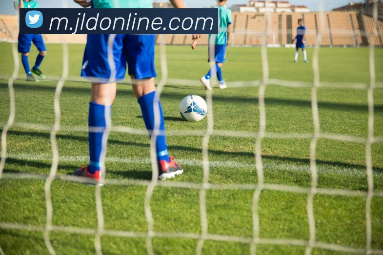 星空入口网页版官方版平台生态图